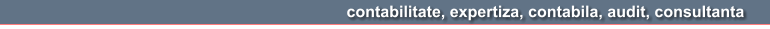 contabilitate, expertiza, contabila, audit, consultanta